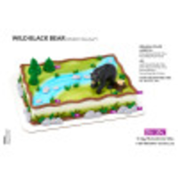 Wild Black Bear Cake Decorating Instruction Card