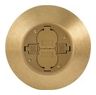 In-Floor Delivery Systems, Fire-Rated Poke-Throughs, 2x2 Flush Duplex Series, Complete Unit, Brass Finish