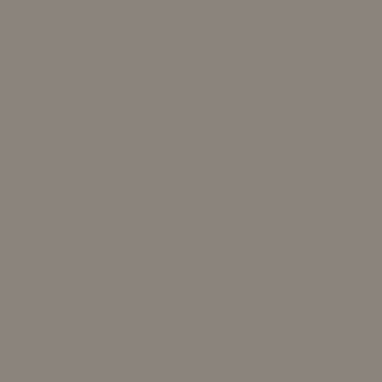 Solid taupe-gray rectangular surface fills the entire frame; uniformly colored, matte texture; displaying no features or light variation — minimal, evenly lit backdrop with no visible objects or depth.