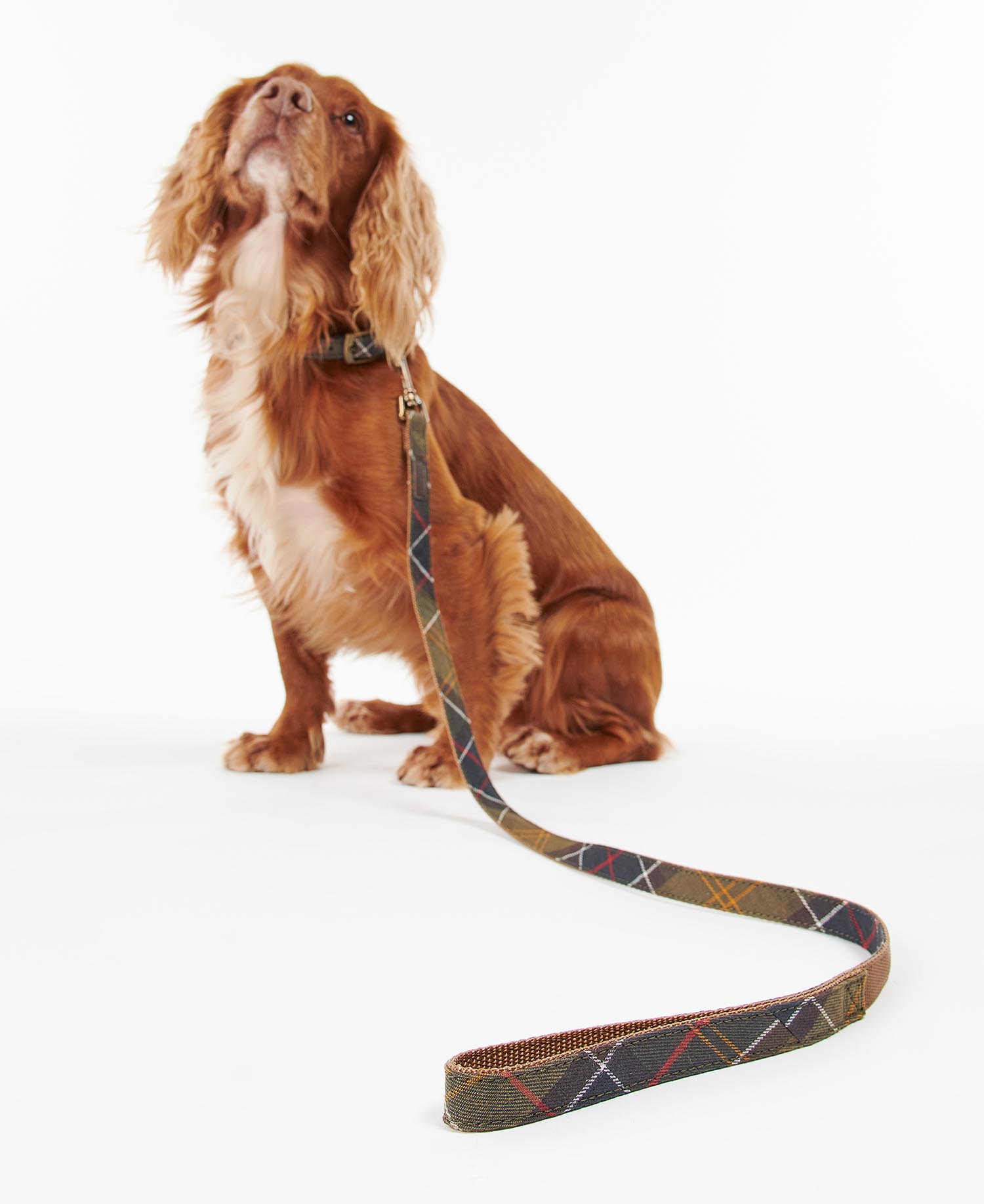 Guinzaglio per cani Tartan image number 0