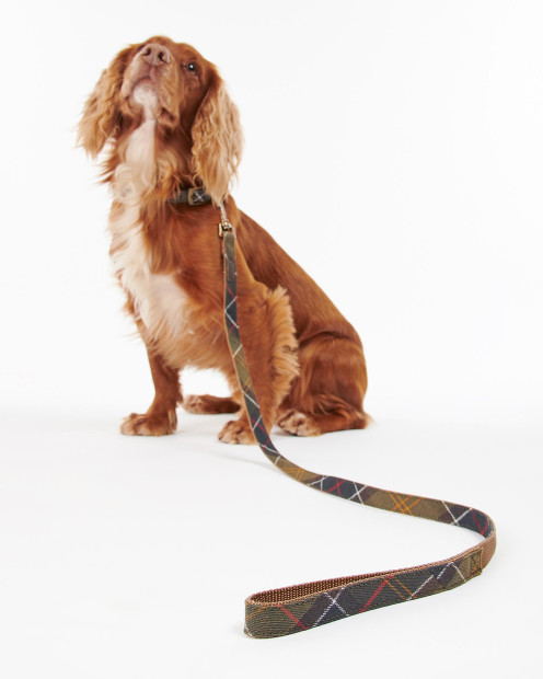 Guinzaglio per cani Tartan 