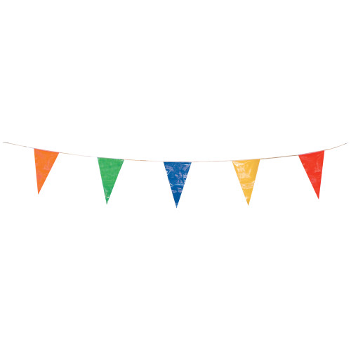 50' Multicolor Pennant