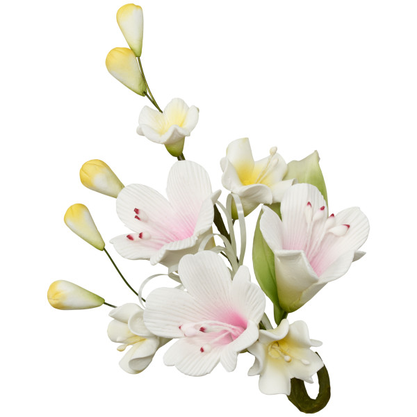 Multi-Color Spray Assortment Gum Paste Sprays