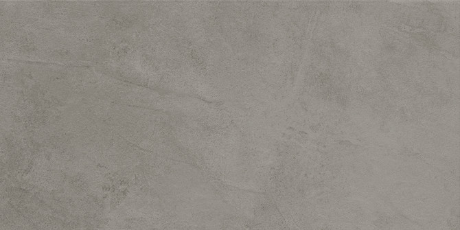 Spectrum Grey 12×24 Rectified