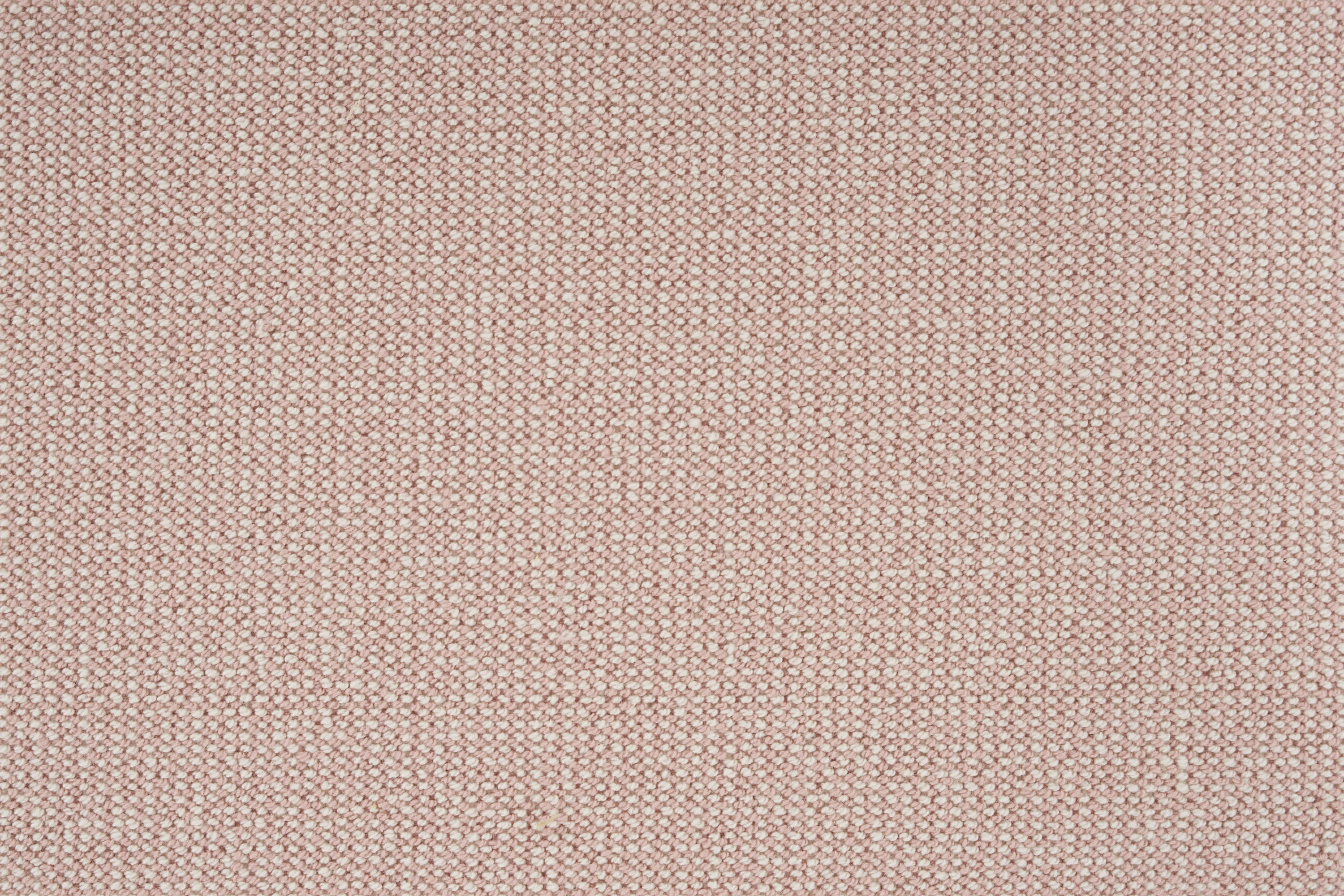 color-rug1