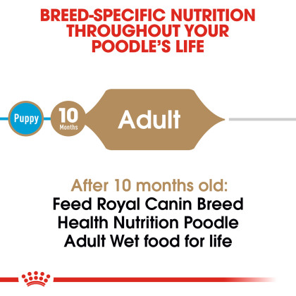Poodle Pouch Dog Food
