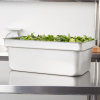 Full-size 8-inch-deep Super Pan® stainless steel steam table pan with offset shoulder design
