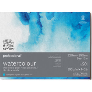 Professional Watercolor Block, Cold Press, 9X12 in, 300 gsm (140 lb), 20 Pages