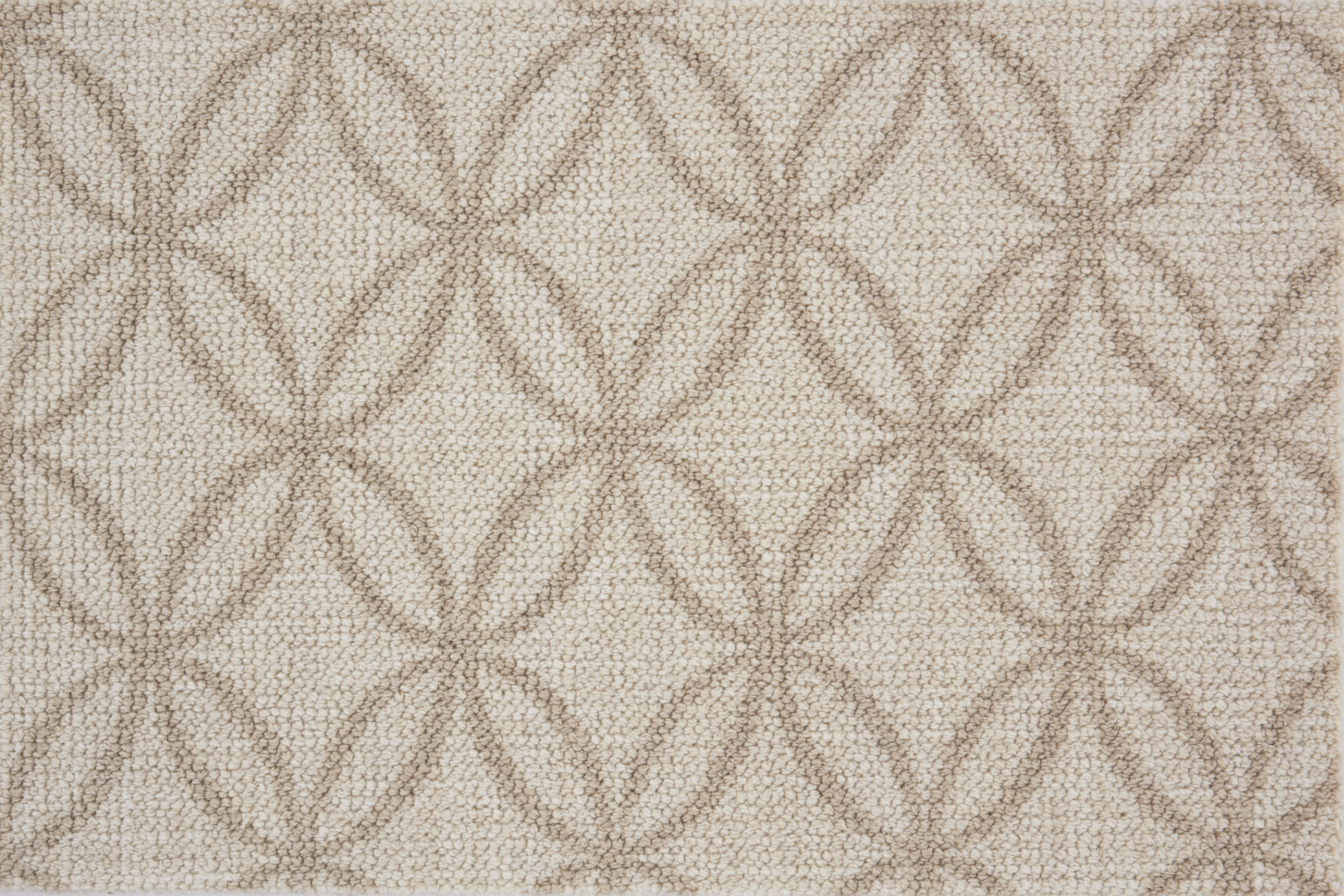 color-rug1