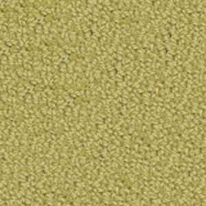 color-rug1