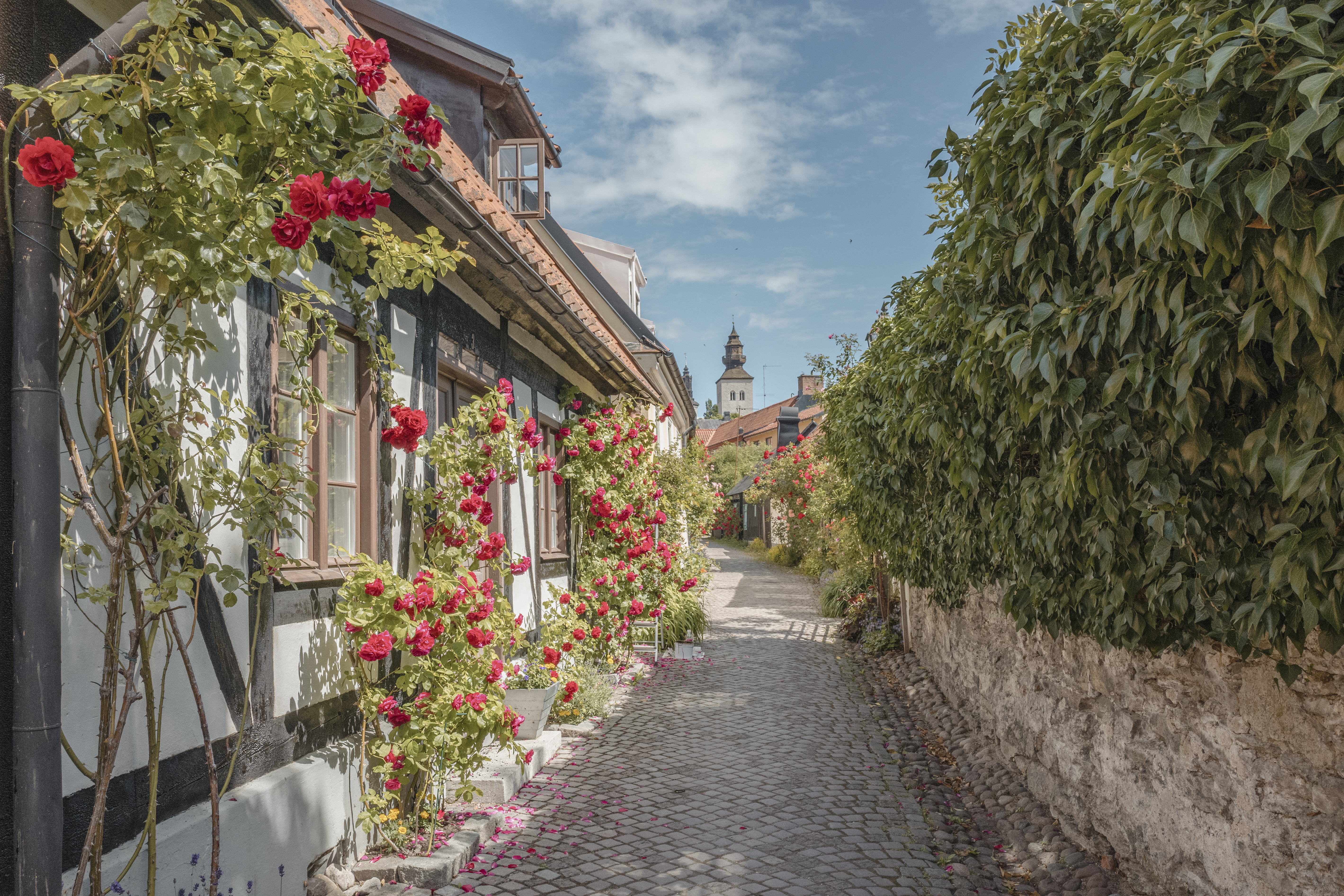 Copenhagen → Copenhagen (14 nights)