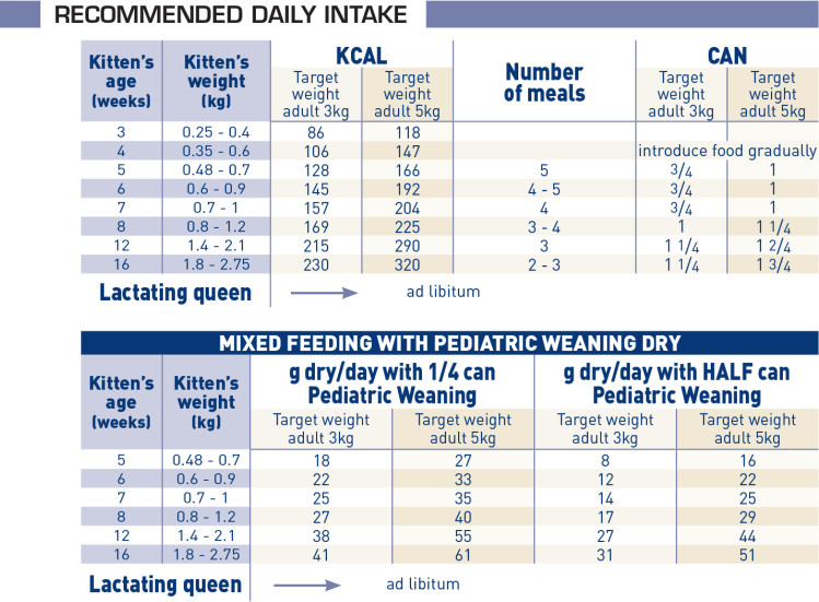 Pediatric Weaning Wet Cat Food - Can 195g - ROYAL CANIN®