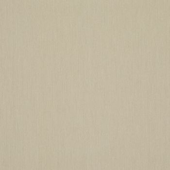 A beige, subtly woven fabric or wallpaper filling the frame, displaying fine vertical texture; lying flat and uniformly lit, suggesting a neutral wall or close-up material swatch.
