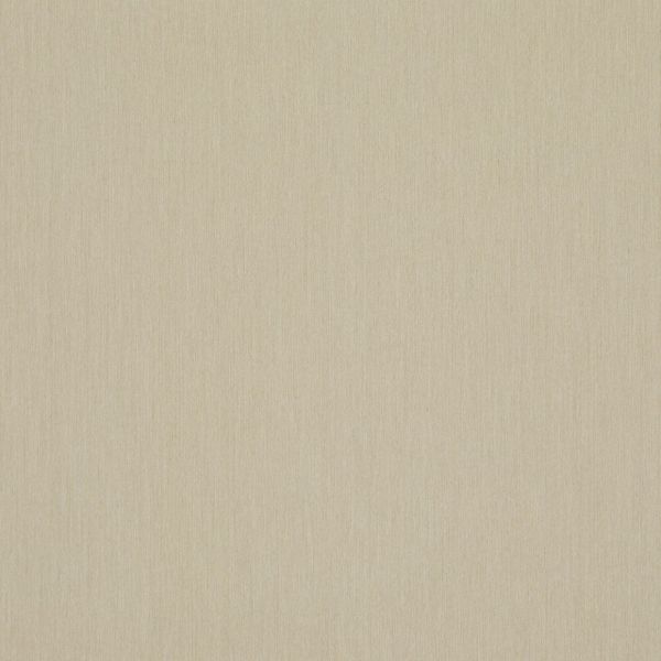 A beige, subtly woven fabric or wallpaper filling the frame, displaying fine vertical texture; lying flat and uniformly lit, suggesting a neutral wall or close-up material swatch.