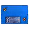 Fullriver Battery, DC224-6 Premium Deep Cycle AGM Battery