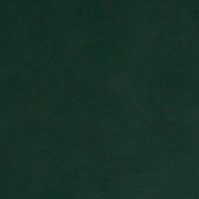 Deep green, slightly mottled felt-like surface filling the entire frame; uniformly lit and flat, serving as a plain, featureless background with subtle texture.