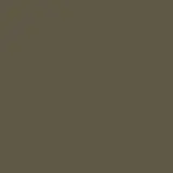 Colors Beech 6×6 Field Tile Gloss