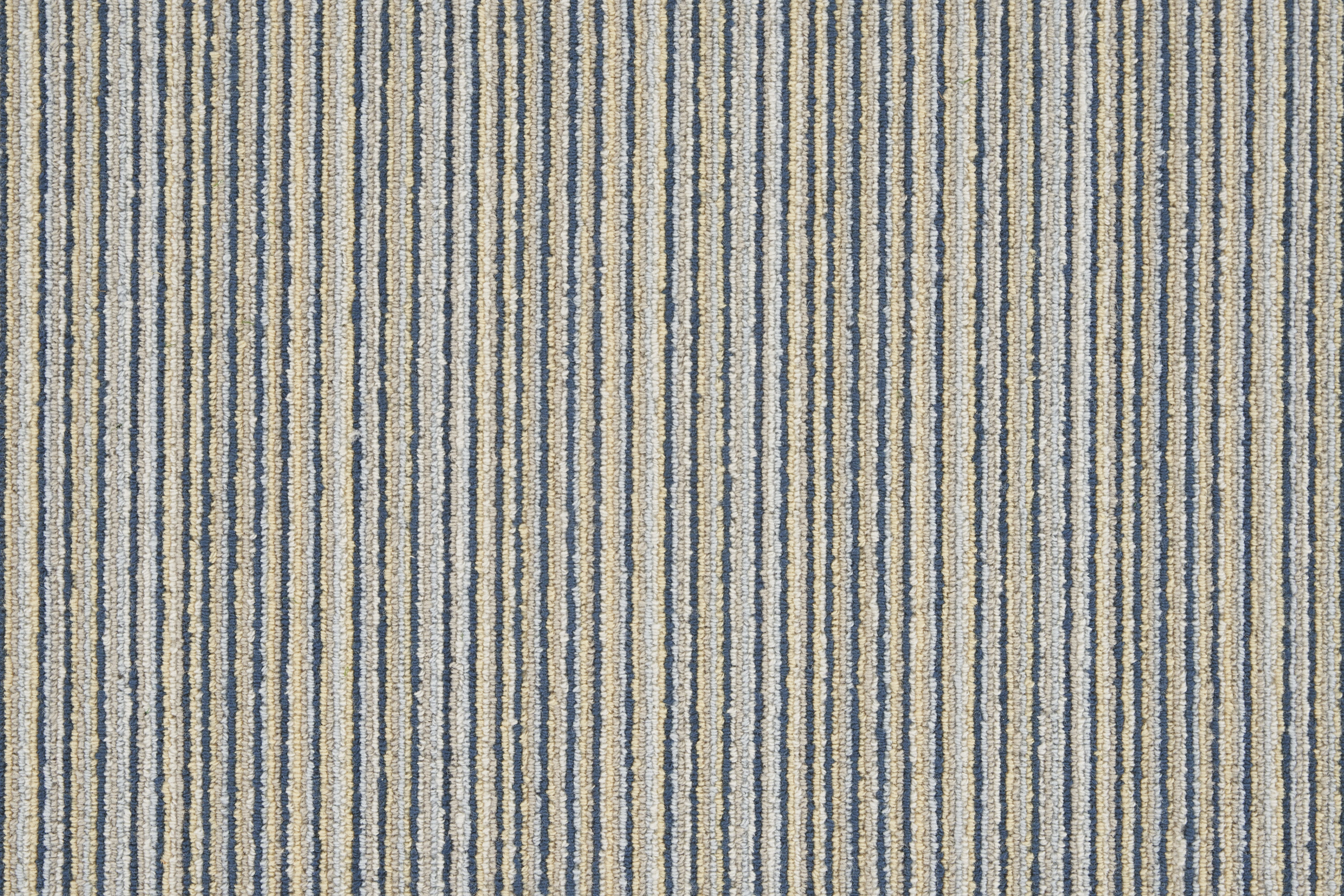 color-rug1