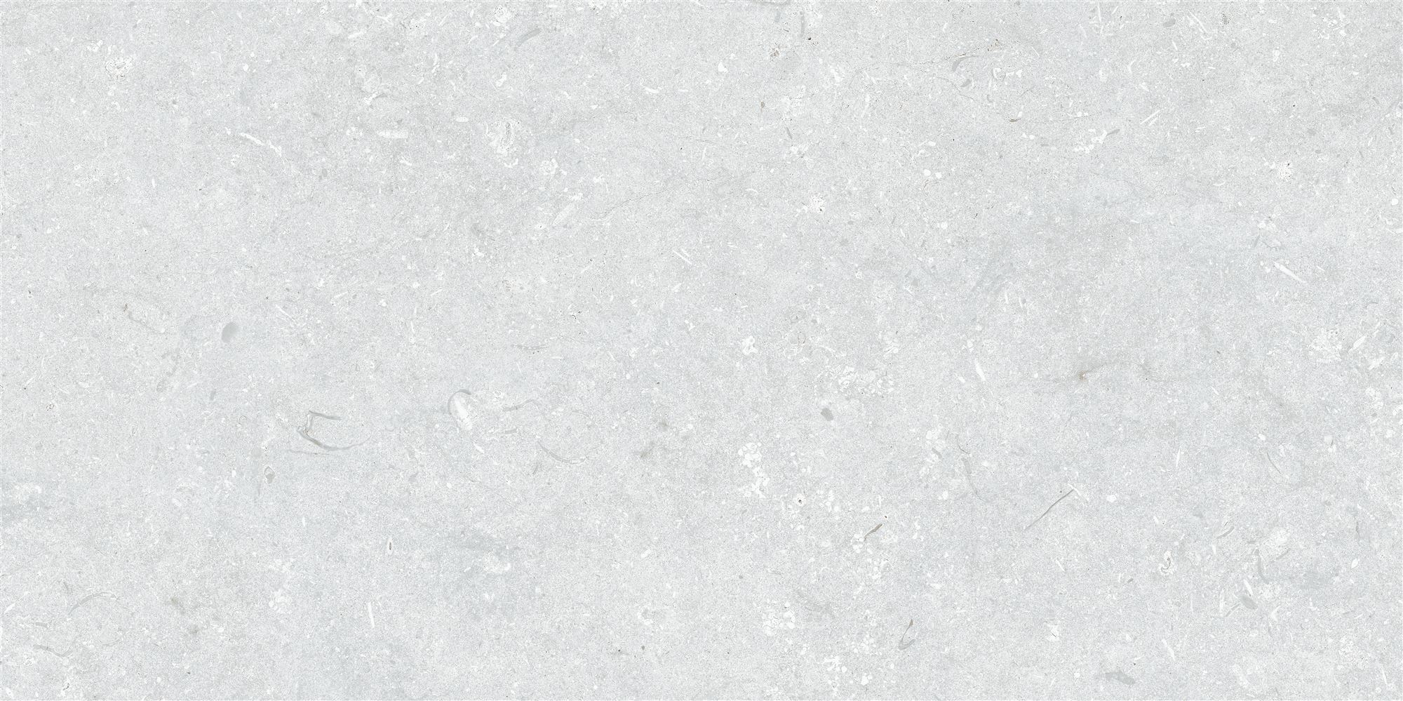 25X40W LIGHTSTONE FOSSILE L.GREY MATT nR