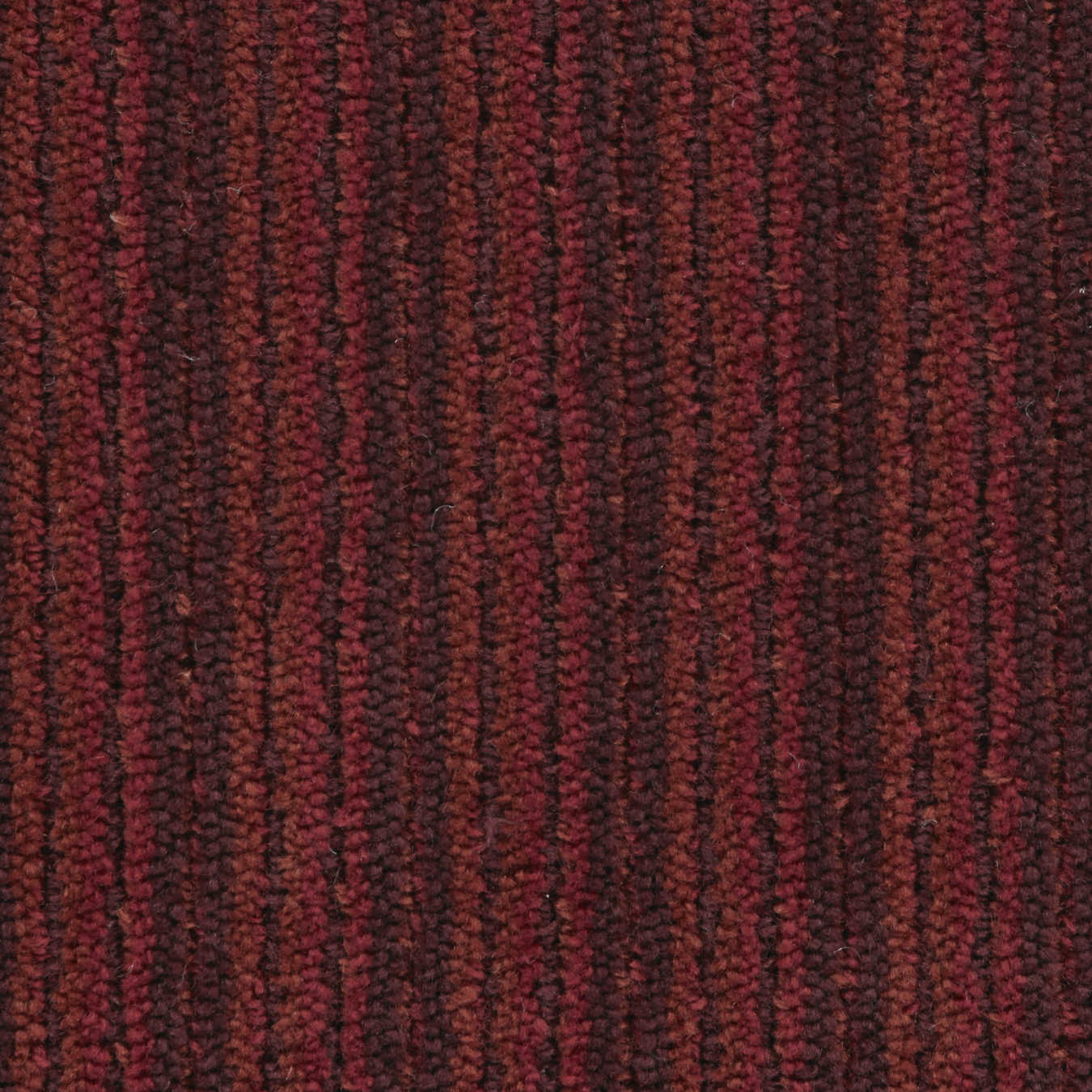 color-rug1