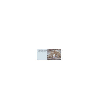 s--frM_-aAy--/nuoxseblbxy9ri4zuk7n.jpg
