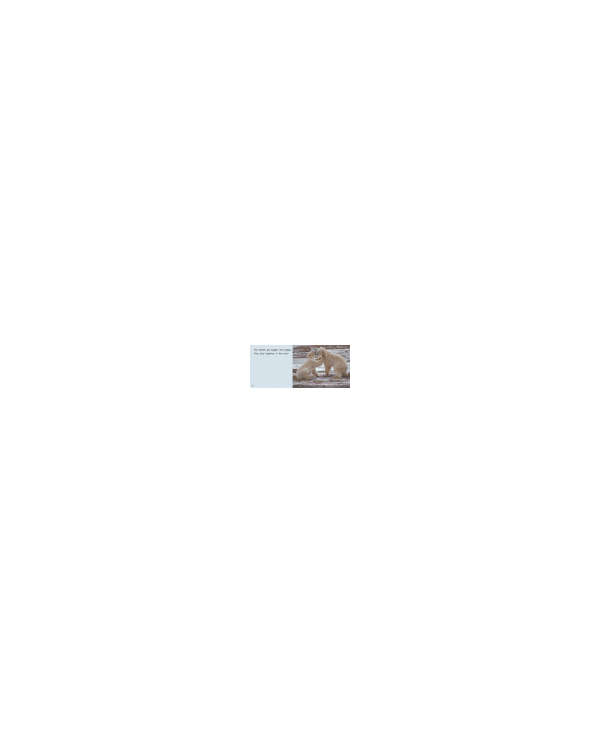 s--frM_-aAy--/nuoxseblbxy9ri4zuk7n.jpg