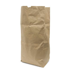 Hospeco, Paper Kraft Lawn & Leaf Bag, Plain, Brown 16" x 12" x 35", Brown