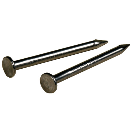 Stainless Steel Wire Nails 3/4