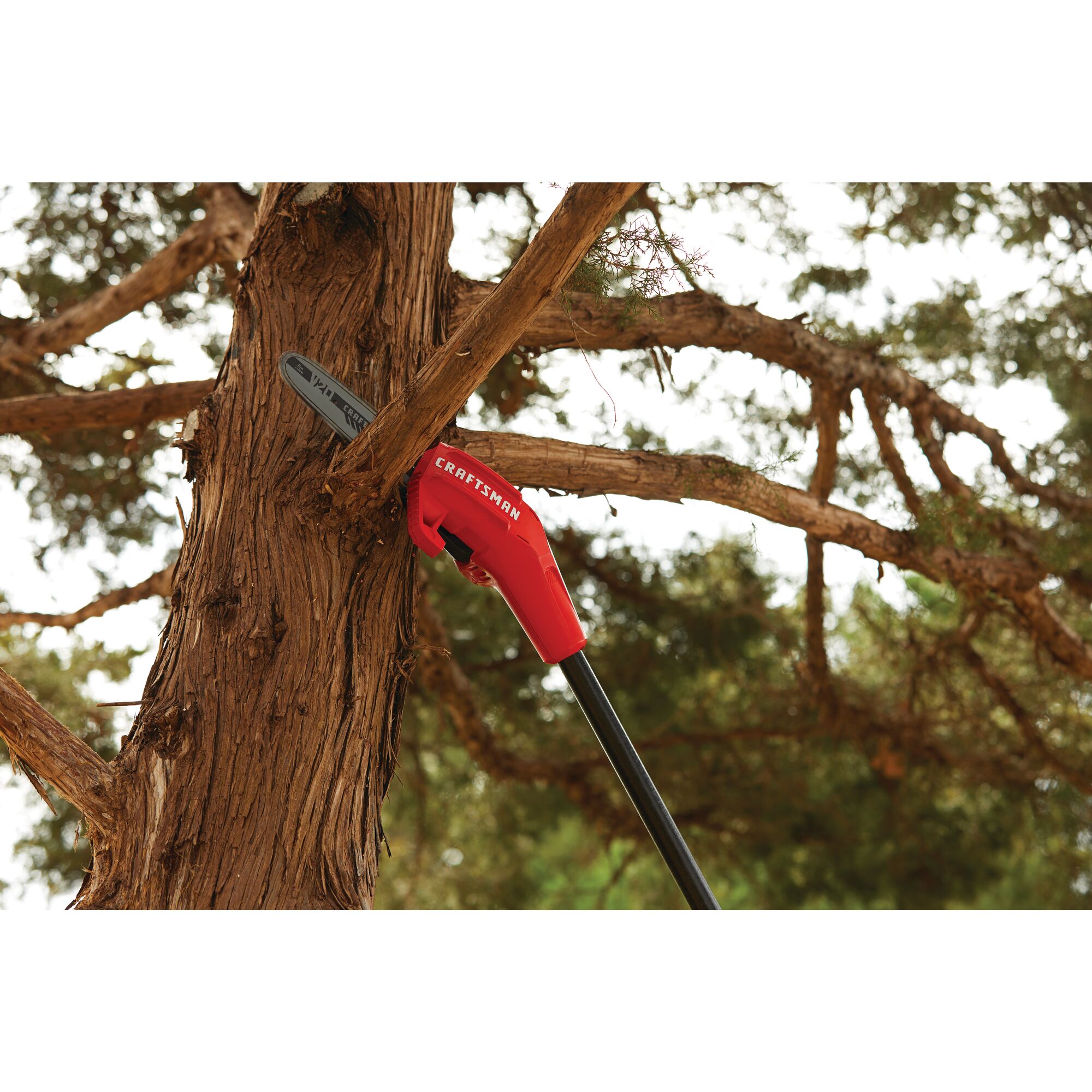 Up to 14 foot reach feature of cordless pole chainsaw kit 4 amp hour.