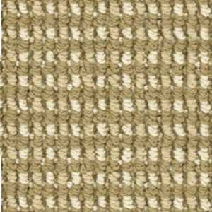 color-rug1