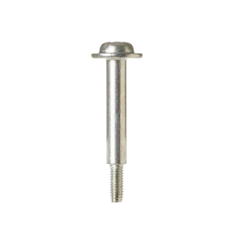 SPECIAL SCREW
