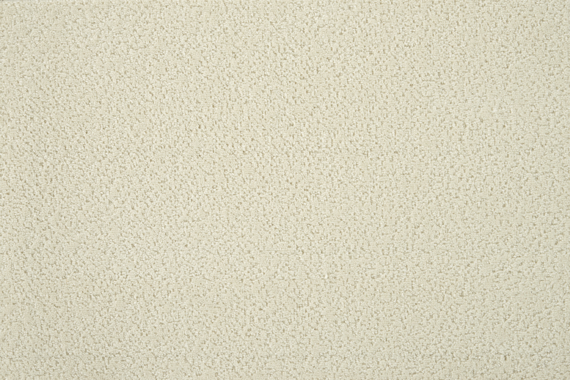 color-rug1