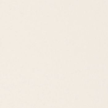 Cream-colored, subtly textured surface (paper or painted wall) fills the frame, appearing blank and unmarked; evenly lit with diffuse light and no discernible surroundings.