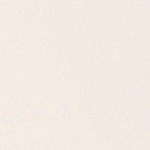 Cream-colored, subtly textured surface (paper or painted wall) fills the frame, appearing blank and unmarked; evenly lit with diffuse light and no discernible surroundings.