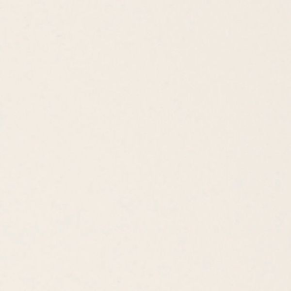 Cream-colored, subtly textured surface (paper or painted wall) fills the frame, appearing blank and unmarked; evenly lit with diffuse light and no discernible surroundings.