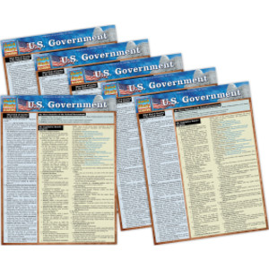 Laminated Study Guide, U.S. Government