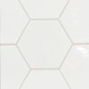 Andalucia Blanco 9×10 Hexagon Field Tile Matte