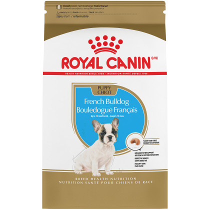 Royal Canin Breed Health Nutrition French Bulldog Puppy Dry Puppy Food