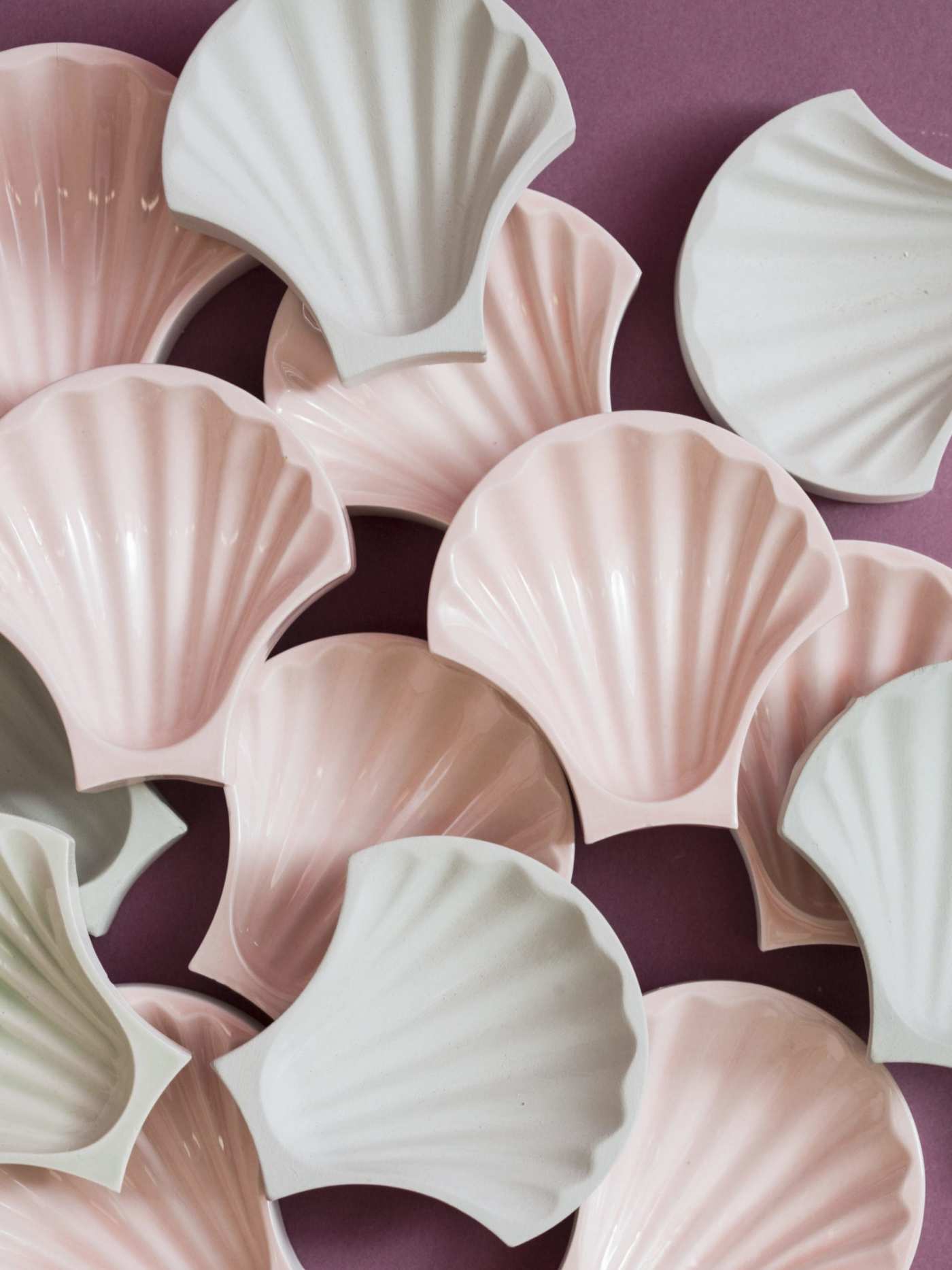 a group of pink and white shells scattered on a purple background.