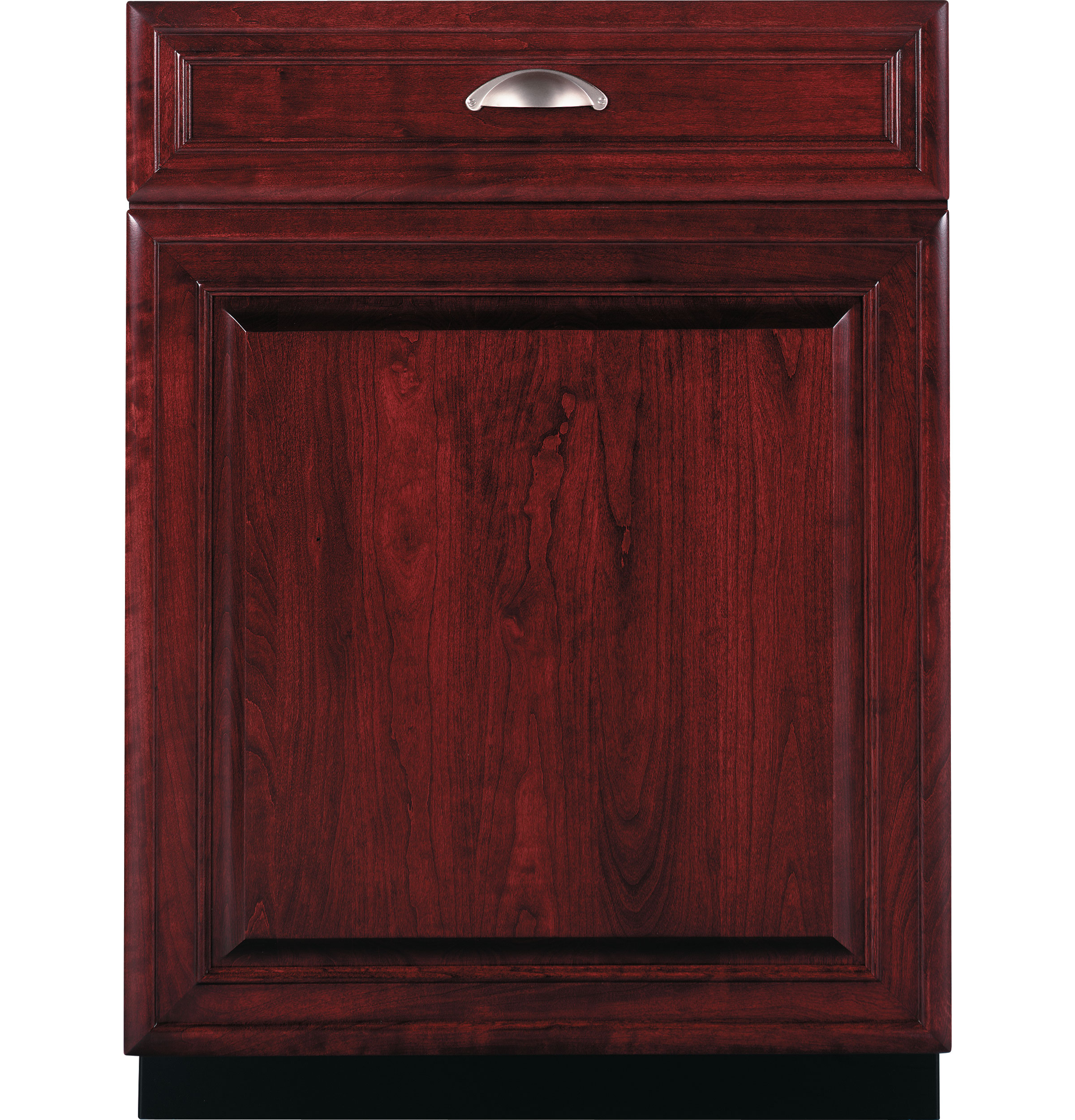 GE Profile™ Dishwasher with SmartDispense™ Technology