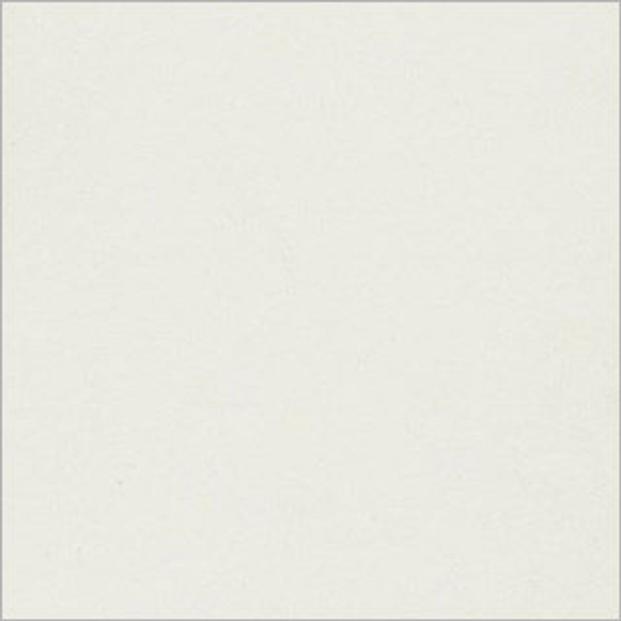 Ivory Lace Shutter