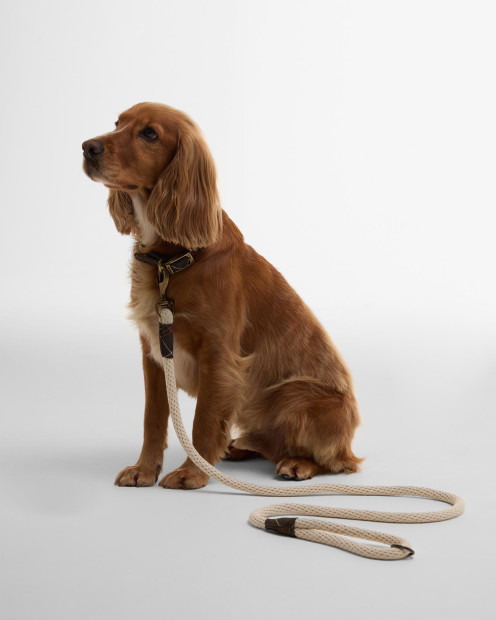 Guinzaglio per cani con corda 