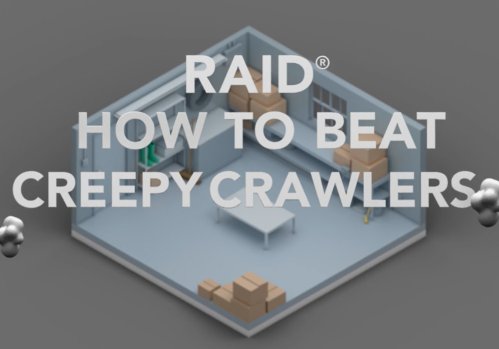 Raid Insect Killer, House & Garden I, 11 oz