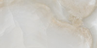 Alexandria Light Gray 12×24 Field Tile Polished Rectified
