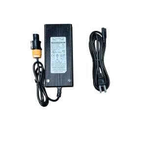CHARGER 120VAC 42.5VDC 5A FOR OBATTUL