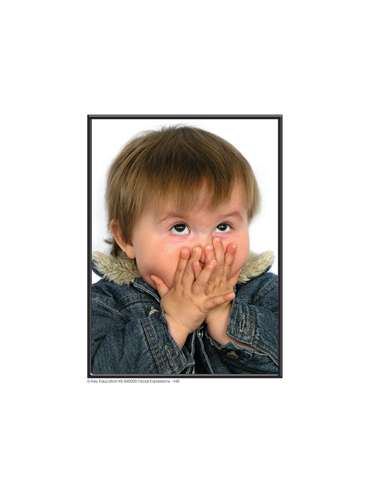 s--gMmEA9Yr--/wfw5q3glhtpby5i74b5g.jpg