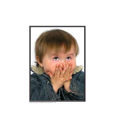 s--gMmEA9Yr--/wfw5q3glhtpby5i74b5g.jpg