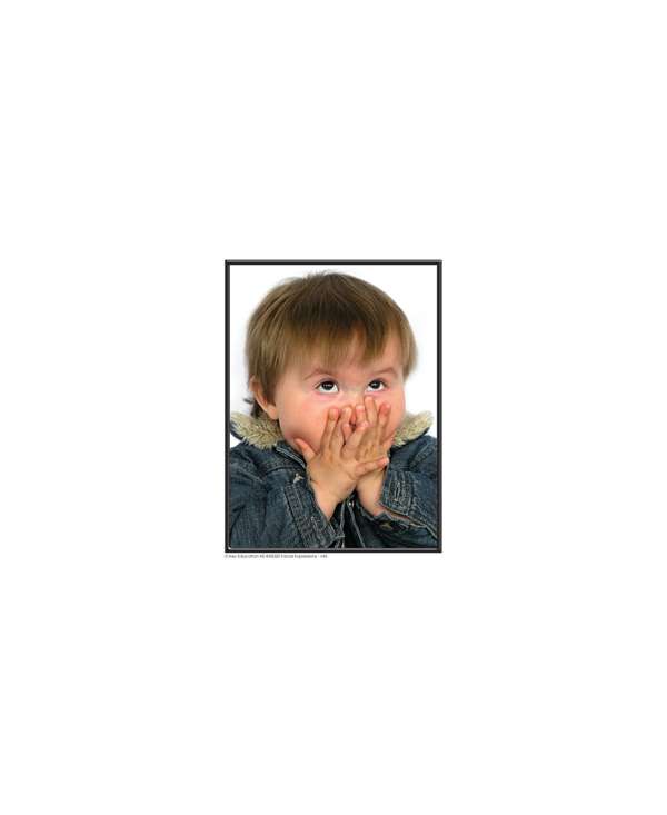 s--gMmEA9Yr--/wfw5q3glhtpby5i74b5g.jpg