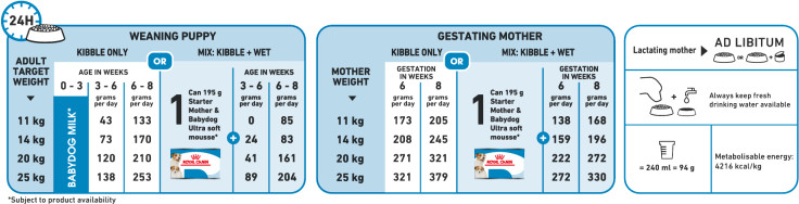 Feeding Guide