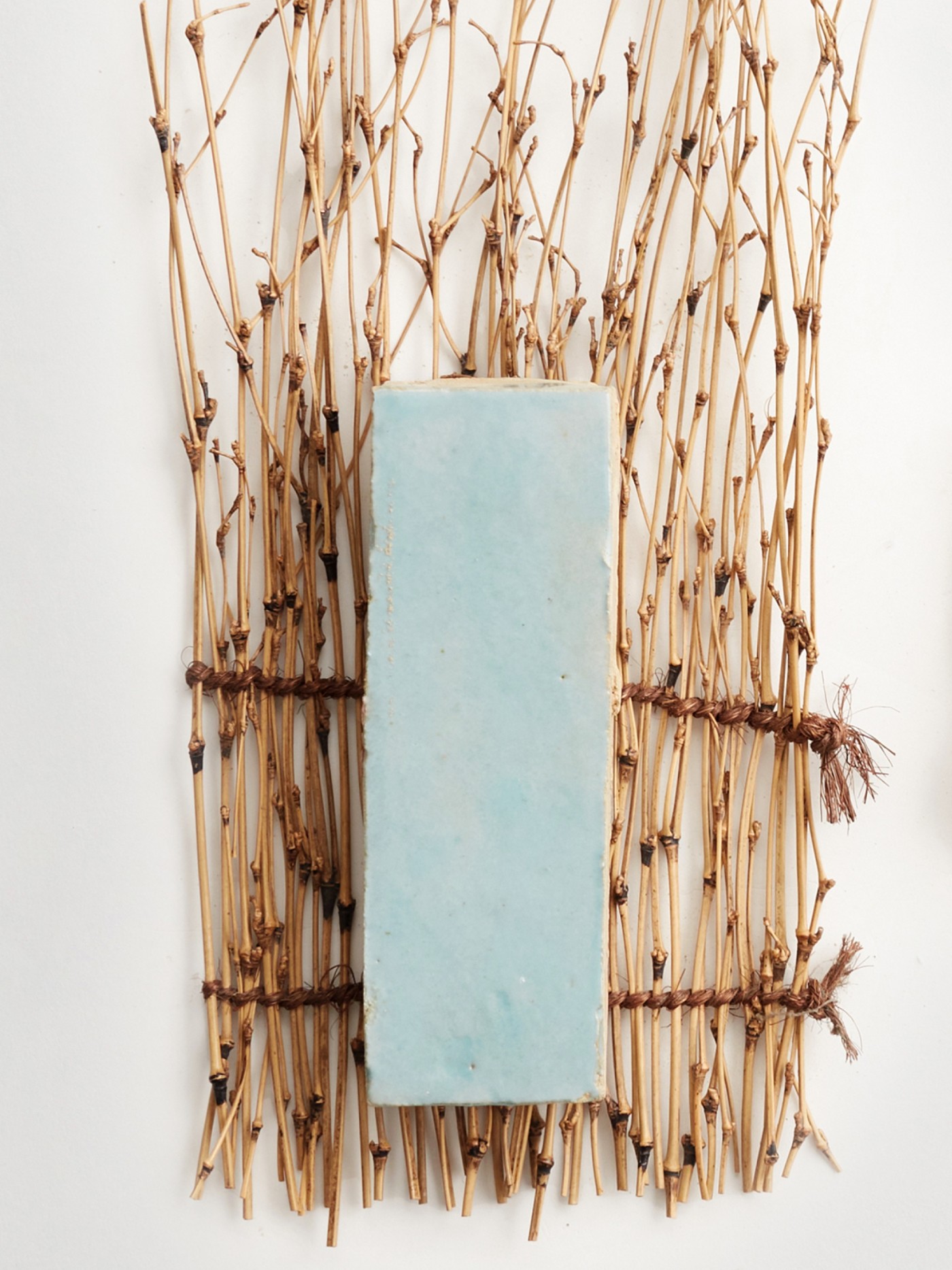 a blue tile with dried twigs on a white background.